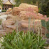 Lg. True Hawaiian Soap Aloe Plant (aloe saponaria)