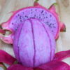 Dark Star Dragon Fruit Plant (hylocereus guatemalensis x undetus)