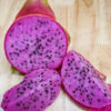 9-S Dragon Fruit Plant (hylocereus polyrhizus)