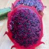 Origional Hawaiian Red Dragon Fruit Plant (hylocereus polyrhizus)
