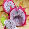 Lite Pink Dragon Fruit Plant (hylocereus polyrhizus)