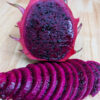 Vivid Purpurea Dragon Fruit Plant (hylocereus polyrhizus x undatus)