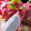 White Dragon Fruit Plant (hylocereus undetus)