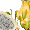 Maui Gold Dragon Fruit Plant (hylocereus ocamponis)