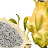 Giant Hawaiian Yellow Dragon Fruit Cactus (hylocereus undetus)