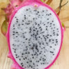 Seoul Kitchen Dragon Fruit Plant (hylocereus undetus)