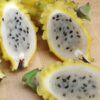 Sweet Yellow Dragon Fruit Plant (selenicereus megalanthus)